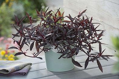 腾讯发布国庆假期未成年人限玩通知：8天能玩8小时